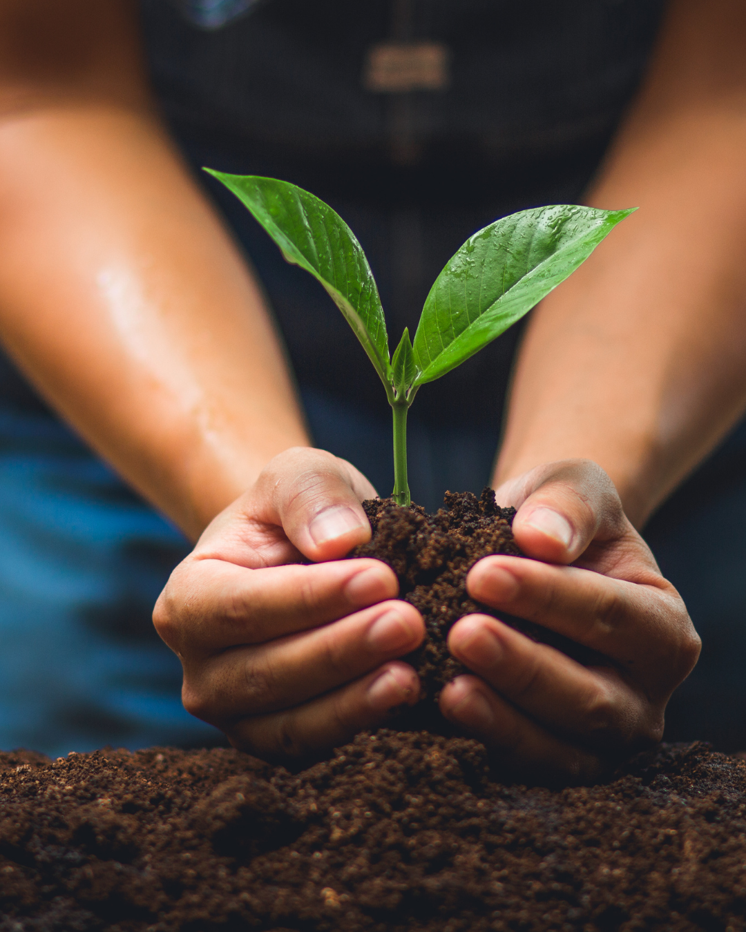 Member_Feature_-_Good_4_Business_3_