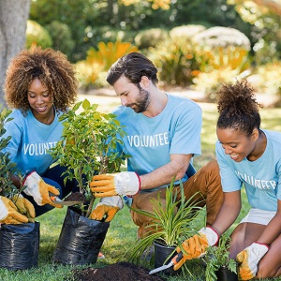 Volunteer_AdobeStock_128736894_orange_900x900